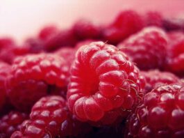 Treatment for Chronic Lymphatic Leukaemia to Replace Chemo